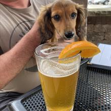 Northville Sports Den restaurant view 1