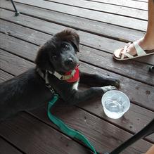 Mi Casa restaurant view 1