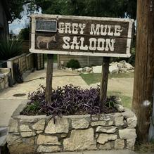 The Grey Mule Saloon restaurant view 2