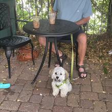 Barista's Coffeehouse restaurant view 1