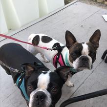 Tia Maria's European Cafe restaurant view 2