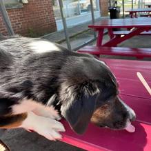 Ben & Jerry's restaurant view 1