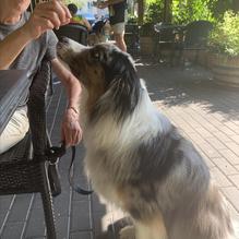 McMenamins Old Church & Pub restaurant view 1