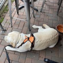 CherrySTONES restaurant view 4