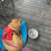 San Luis Valley Brewing Company restaurant view 1