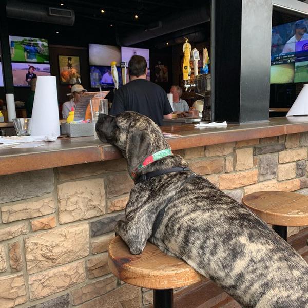 25+ bars to watch the Saints Game (Kid & Dog-Friendly Places