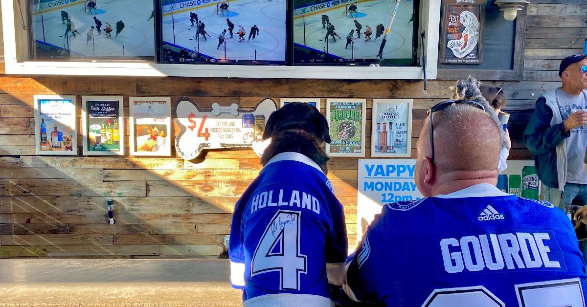 The Best Dog-Friendly Sports Bars