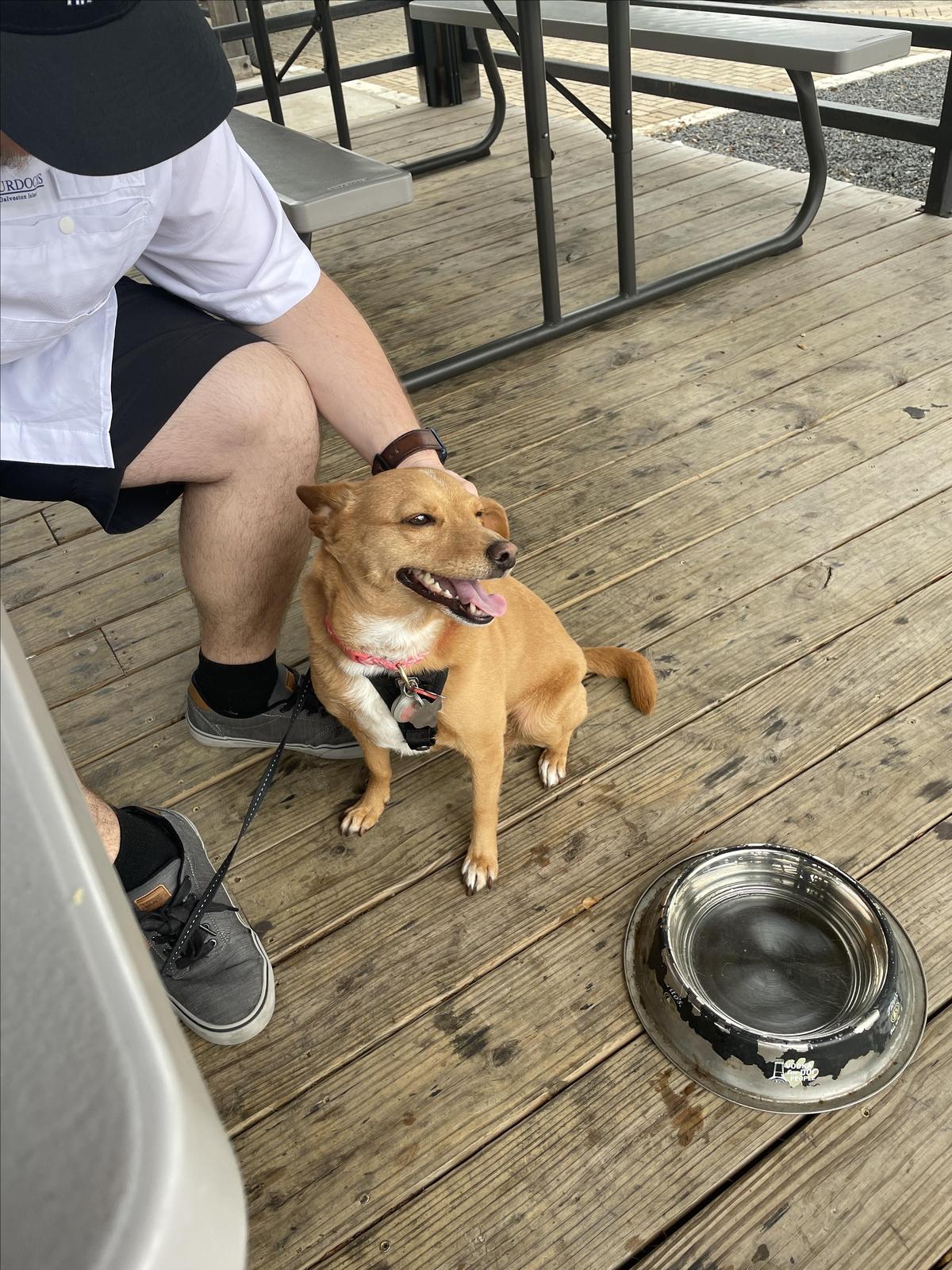 Finley's Round Rock restaurant view 1