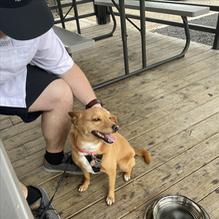 Finley's Round Rock restaurant view 1