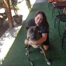 Hot Brew restaurant view 6