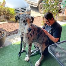 Hot Brew restaurant view 7