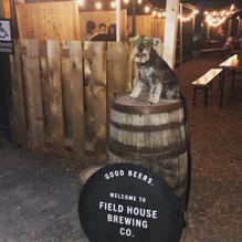 Field House Brewing Co. restaurant view 7