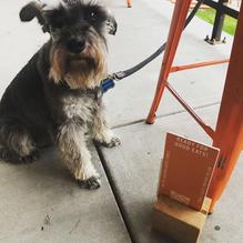 Field House Brewing Co. restaurant view 6