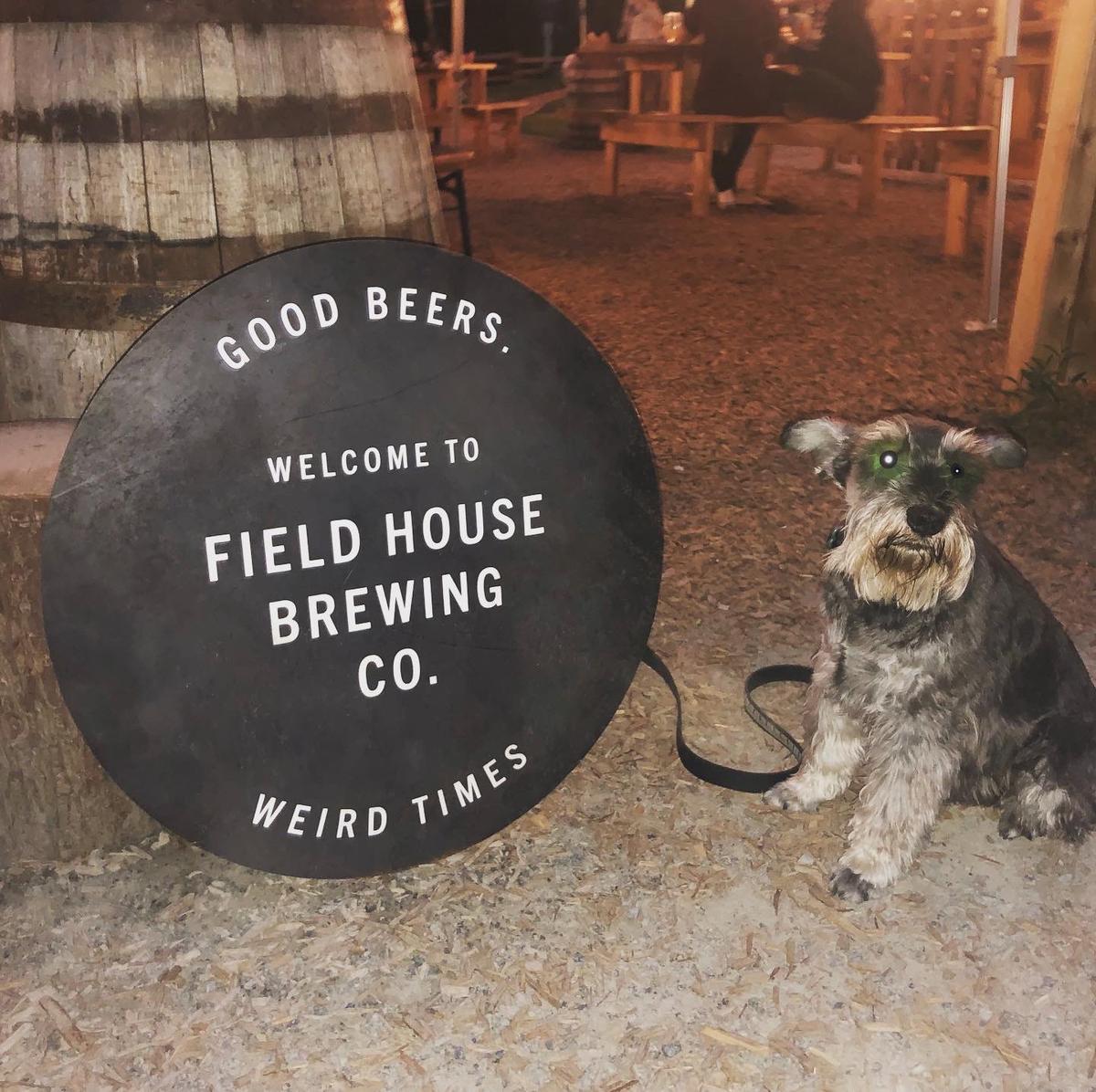 Field House Brewing Co. restaurant view 5