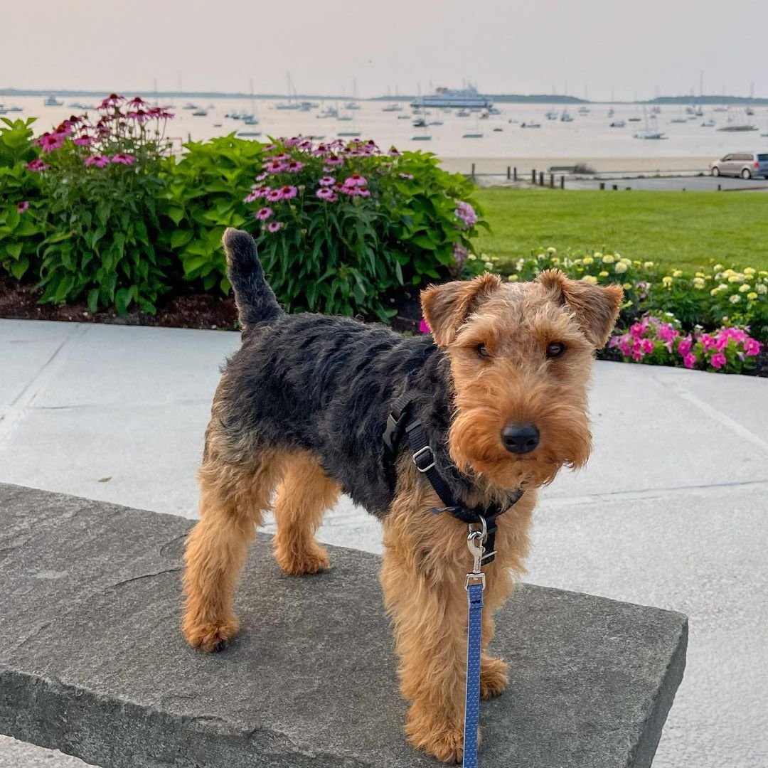 Life is better on the Cape.