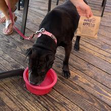 Bluewater Grill restaurant view 4