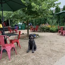 Stockholm Pie & General Store restaurant view 1