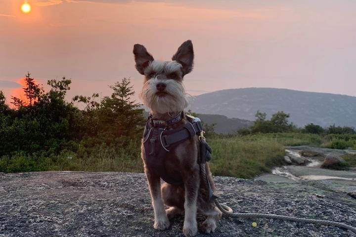 Rise and Shine at Cadillac Mountain.