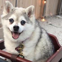 Half Liter BBQ & Beer Hall restaurant view 1