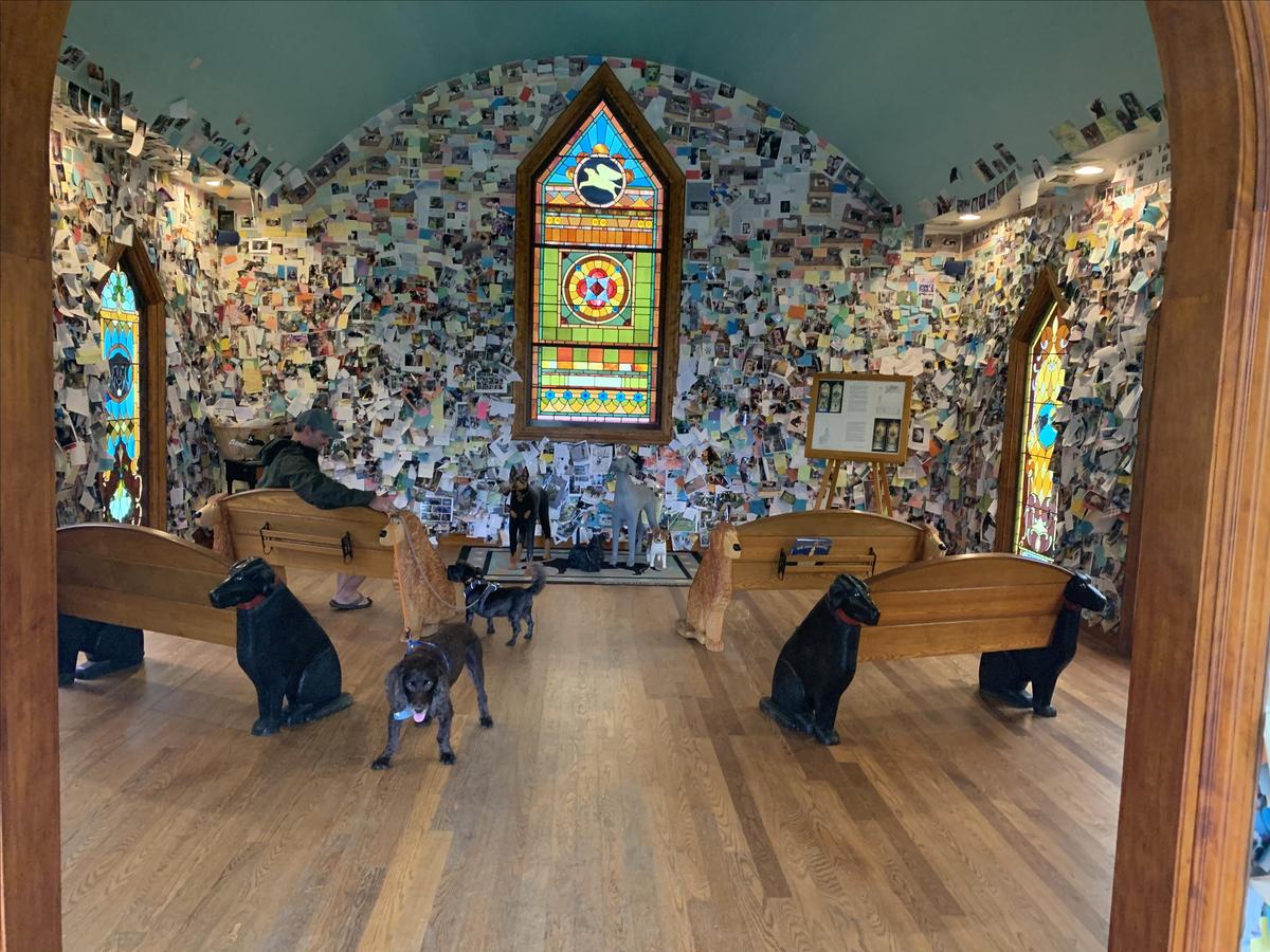 Dog outlet mountain chapel