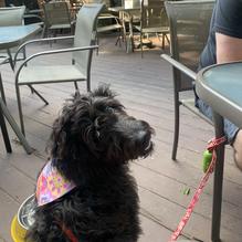 Tropics restaurant view 3