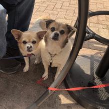 Blaze restaurant view 2