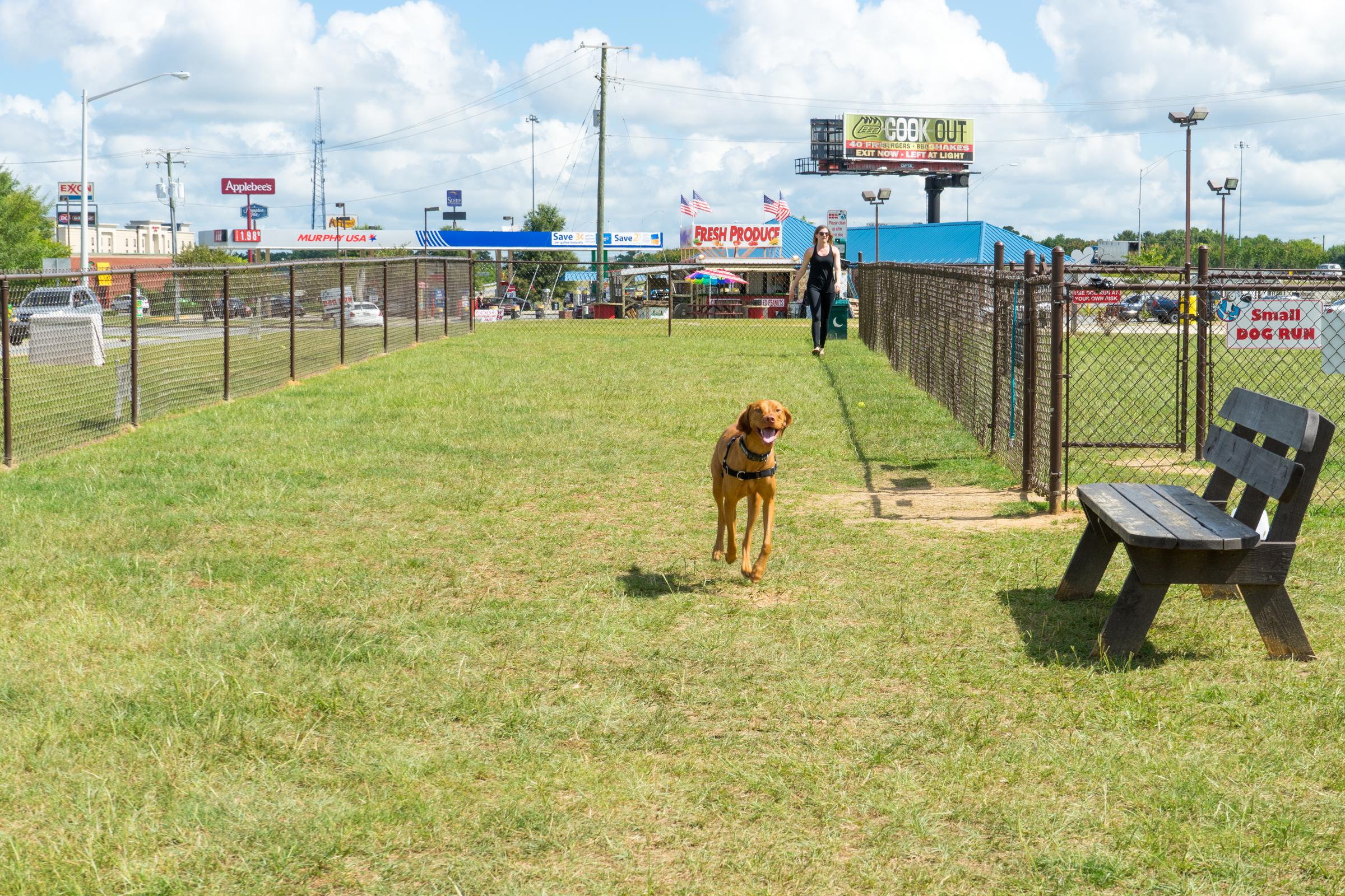 Pet Friendly Halifax County Visitor Center Dog Run