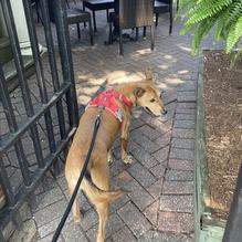 Square One Brewery & Distillery restaurant view 3