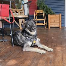 Riverhouse Grill restaurant view 1