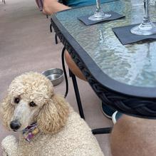 Jake's Steakhouse restaurant view 1