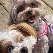 Hurricane Dockside Grill restaurant view 4