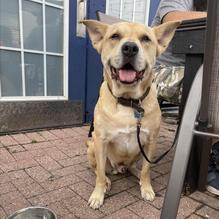 Chill Bar & Grille restaurant view 3