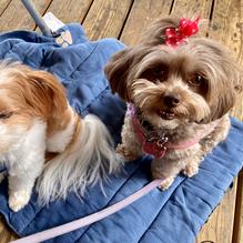 Hurricane Dockside Grill restaurant view 5