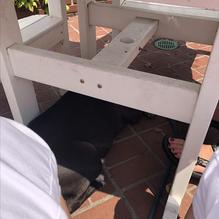 Harbor House restaurant view 1