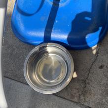 JJ's Fish House restaurant view 2