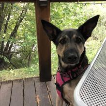 The Tipsy Trout restaurant view 2