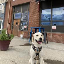 Levity Brewing Co. restaurant view 1