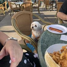 The Point Restaurant restaurant view 1