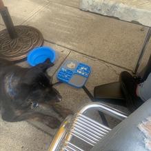 Horsefeathers restaurant view 1