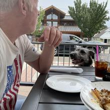 Rembrandts Coffee House restaurant view 2