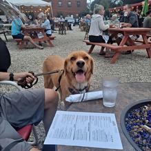 Spoleto restaurant view 2