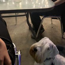 Casa Azul restaurant view 1