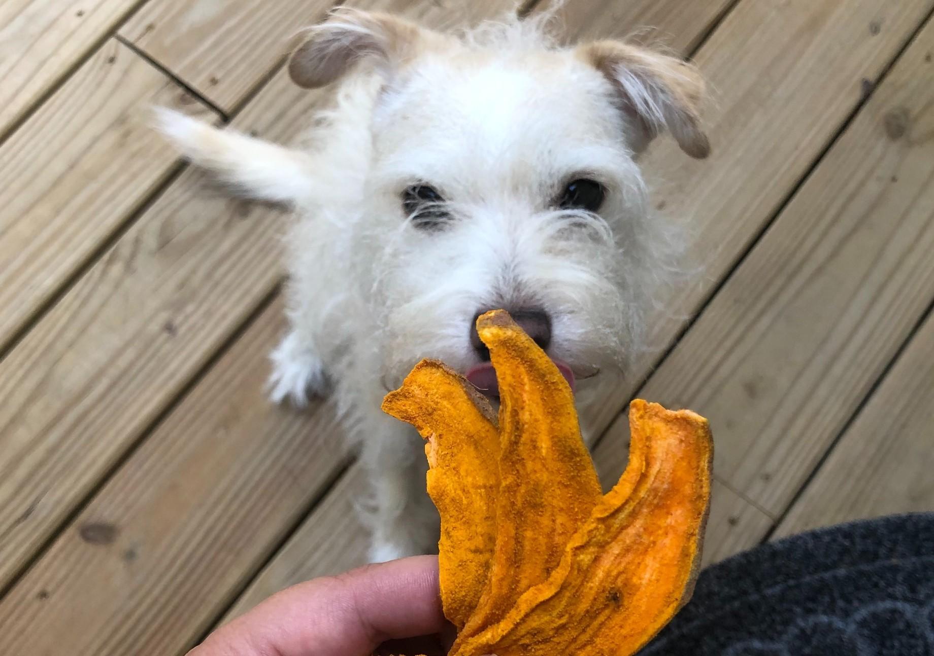 There's no turkey in this jerky.