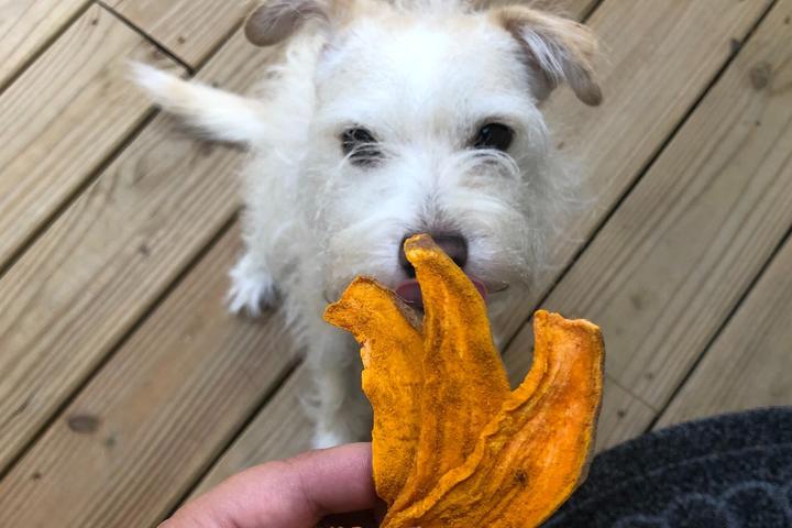 Turmeric Sweet Potato Jerky Recipe for BringFido Road Trip Snacks