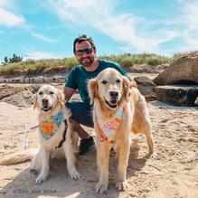 Sesuit Harbor Cafe restaurant view 1