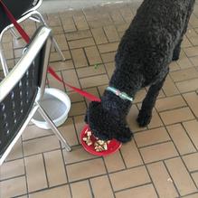 Black Mtn. Burger Co. restaurant view 3