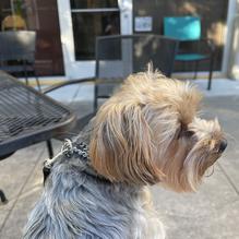 3 Flights Up Taps & Tacos restaurant view 2