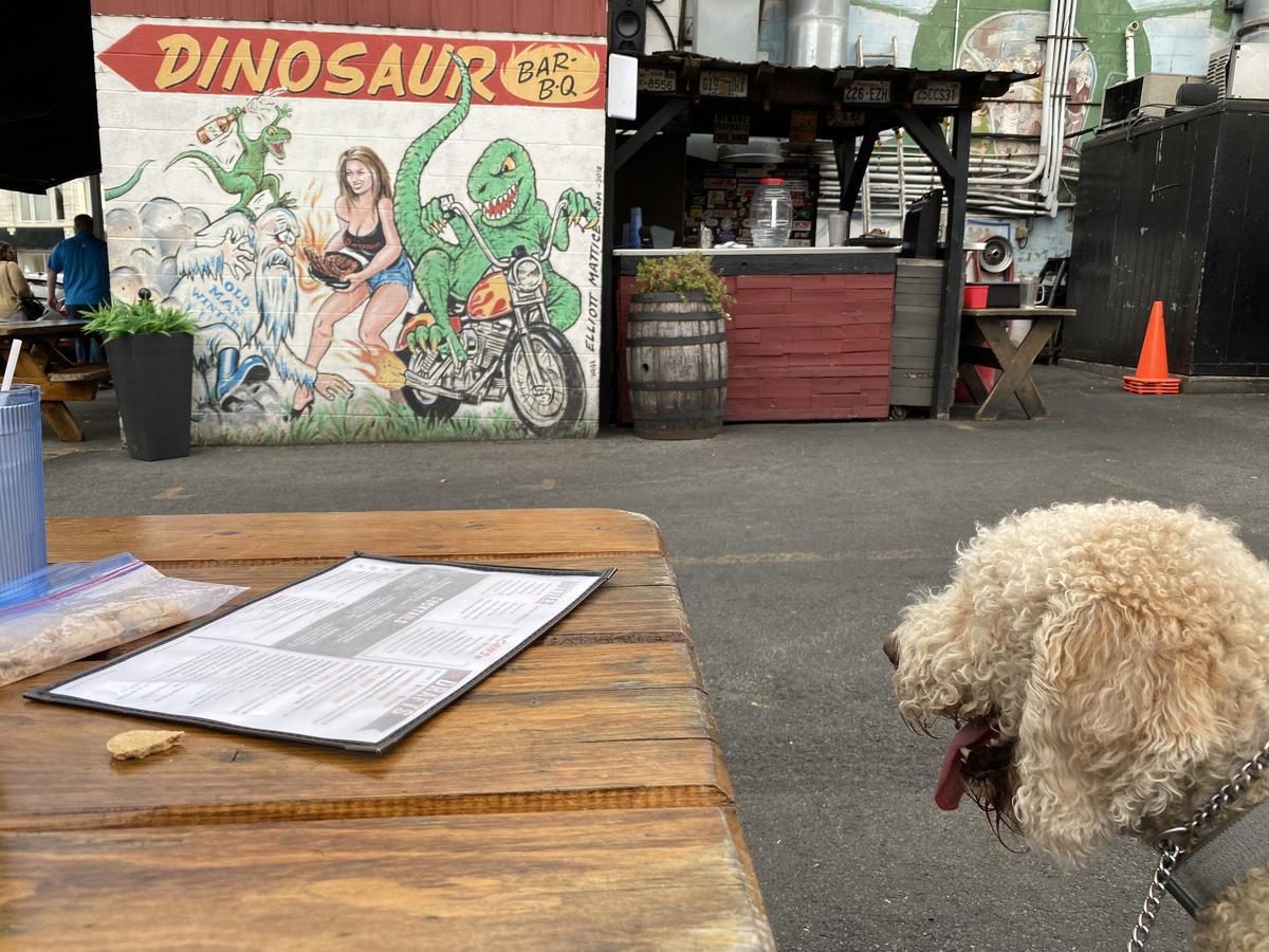 Dinosaur Bar-B-Que restaurant view 3