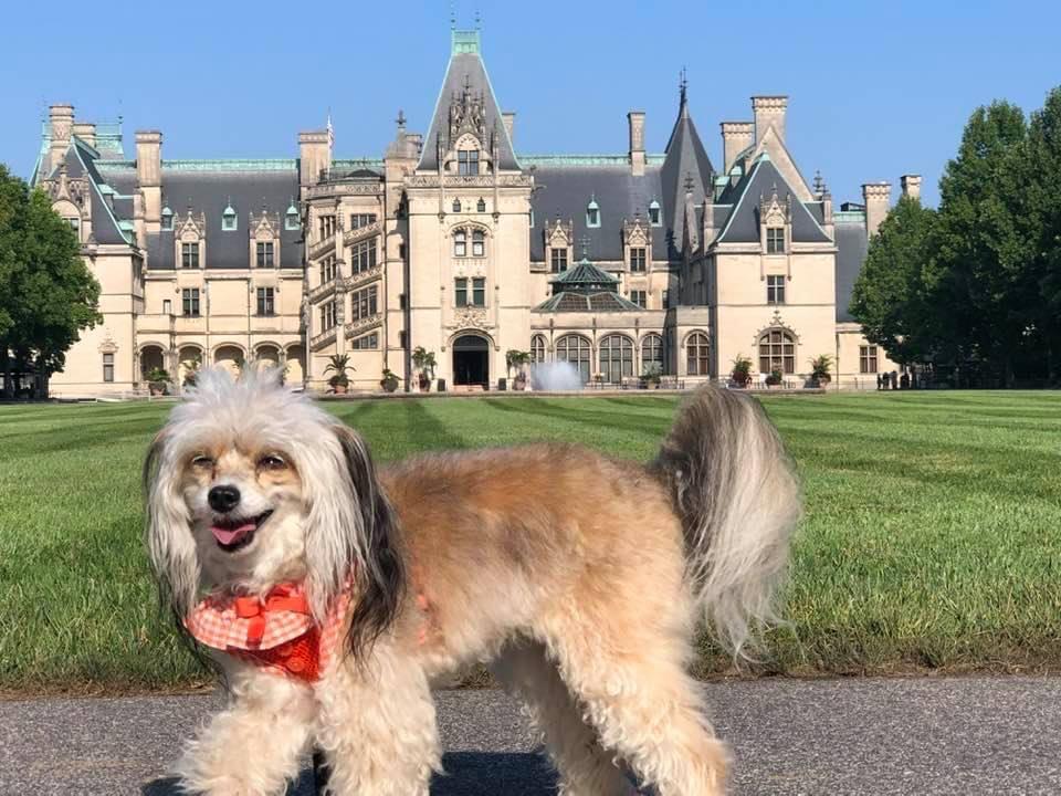 Biltmore Estate