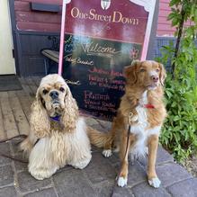 One Street Down Cafe restaurant view 2